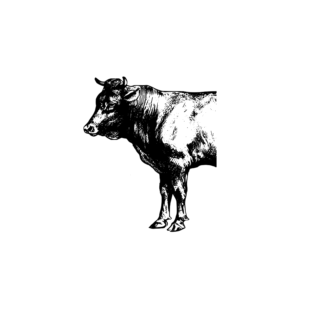 1/2 Share- Contact for Availability